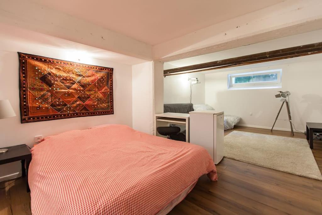 R-Appartements Strasbourg Cosy Orangerie Pour Vos Sejours En Famille Ou Entre Amis Estrasburgo Exterior foto