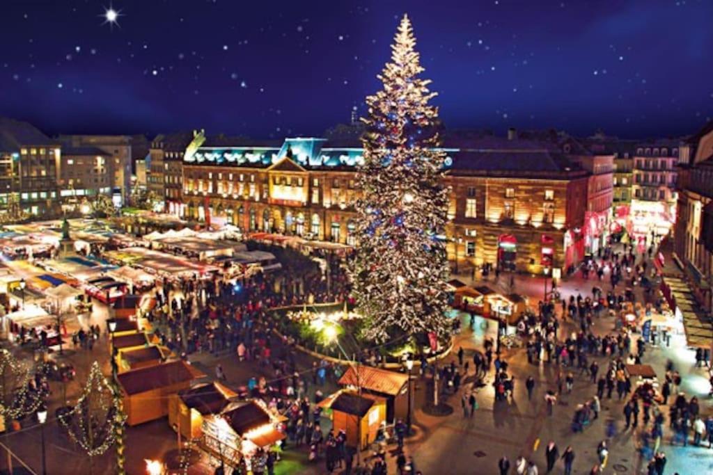 R-Appartements Strasbourg Cosy Orangerie Pour Vos Sejours En Famille Ou Entre Amis Estrasburgo Exterior foto